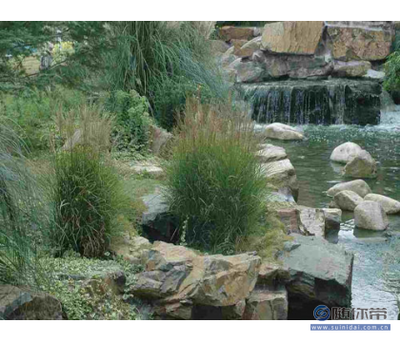 百草園供應可靠的園林景觀工程，寧波與博羅縣專業服務